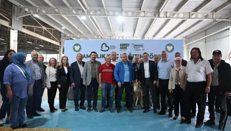 Balıkesir'de hayvancılığa destek damızlık koç dağıtımı