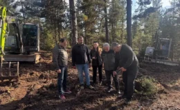 Beypazarı’nda 50 hektarlık alanda doğal gençleştirme çalışması