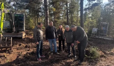 Beypazarı’nda 50 hektarlık alanda doğal gençleştirme çalışması