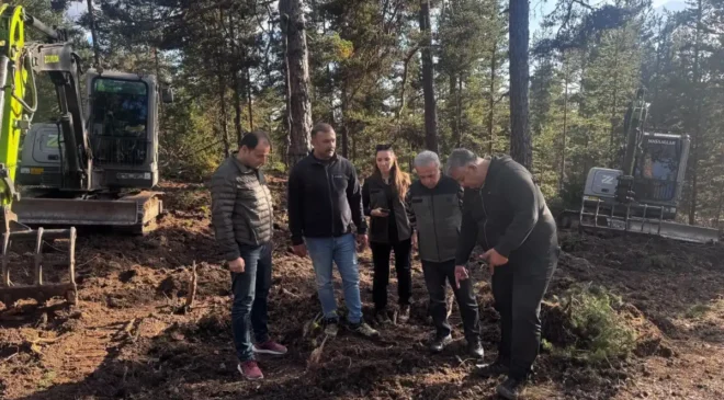 Beypazarı’nda 50 hektarlık alanda doğal gençleştirme çalışması