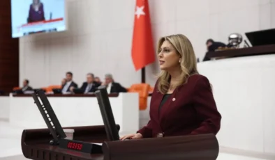 Eczacı ve diş hekimi atamaları meclis gündemine taşındı
