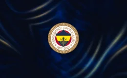 Fenerbahçe'de geçici olarak Dirk Kuyt dönemi başladı