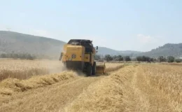 Pancar üreticilerine 952 milyon liralık avans ödemesi