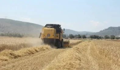 Pancar üreticilerine 952 milyon liralık avans ödemesi
