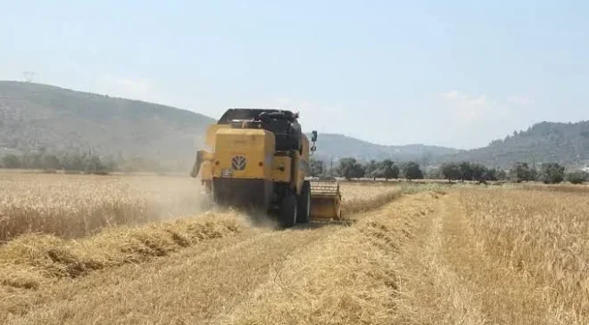 Pancar üreticilerine 952 milyon liralık avans ödemesi