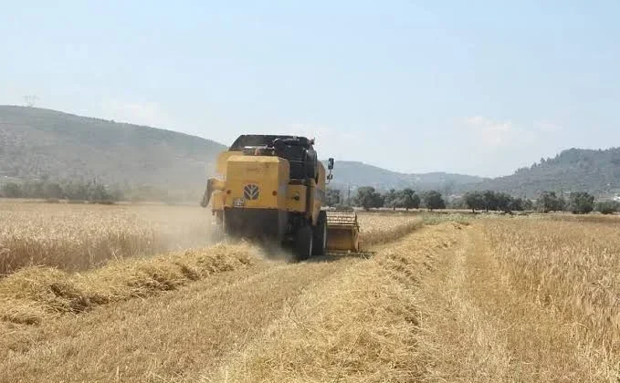 Pancar üreticilerine 952 milyon liralık avans ödemesi