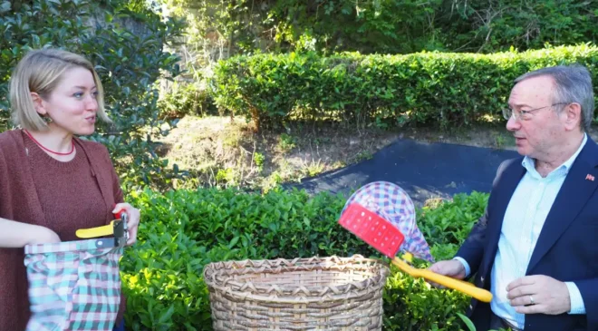 Rize gastronomisinde yeni dönem: Bal, mandalina ve çay atıkları ekonomiye kazandırılıyor