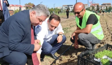Yalova’nın ilk kent bostanına Bornova desteği