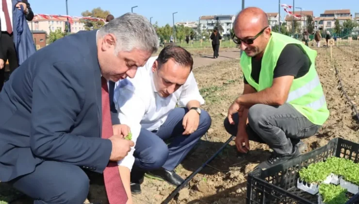 Yalova’nın ilk kent bostanına Bornova desteği