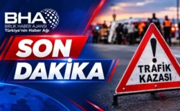 Yıldırım düştü, tütün deposunda yangın çıktı