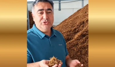 İthal üzüm yerli üreticiyi zor durumda bıraktı